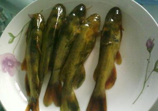 嘎魚是海魚嗎？嘎魚是什么魚