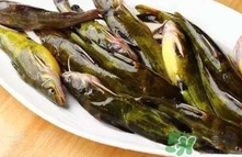 嘎魚是海魚嗎？嘎魚是什么魚