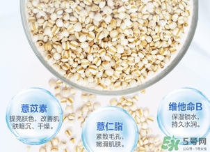 薏仁水可以天天敷嗎？薏仁水幾天敷一次？