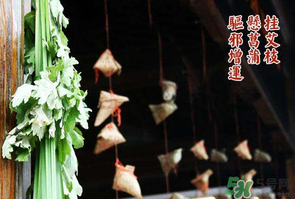 端午節(jié)為什么掛艾草？端午節(jié)掛艾草的由來