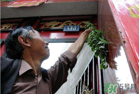 端午節(jié)為什么掛艾草？端午節(jié)掛艾草的由來