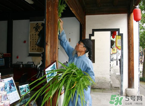 端午節(jié)門上掛的那個(gè)草叫什么？端午節(jié)掛門上的叫什么？