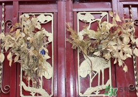 端午節(jié)門上掛的那個(gè)草叫什么？端午節(jié)掛門上的叫什么？