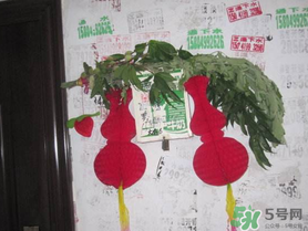 端午節(jié)門上掛的那個(gè)草叫什么？端午節(jié)掛門上的叫什么？