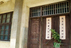端午節(jié)插門上的是什么？端午節(jié)為什么要插艾草？
