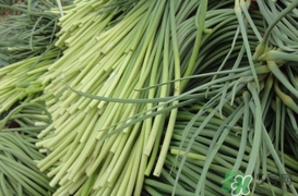 蒜薹怎么摘？蒜薹怎么擇？