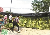 怎樣腌蒜苔容易儲(chǔ)存？怎樣腌蒜苔放的時(shí)間長(zhǎng)