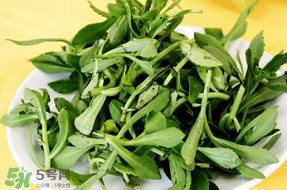 養(yǎng)心菜能生吃嗎？養(yǎng)心菜怎么吃？