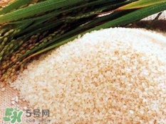 包粽子的米要泡多久？包粽子的米是什么米？