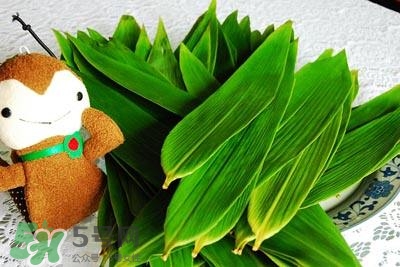 包粽子的葉子叫什么？包粽子的葉子怎么處理？