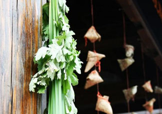 端午節(jié)門上掛的那個草叫什么？端午節(jié)掛門上的叫什么？