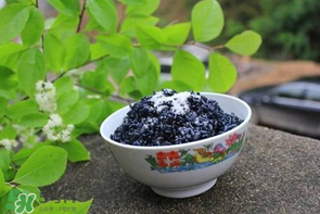 烏飯用什么葉子煮？烏飯用什么葉子圖片？