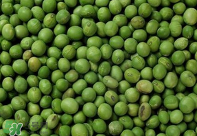 青豆可以打豆?jié){嗎？青豆能做豆?jié){嗎？