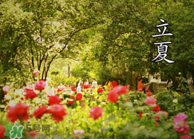 ?立夏是夏天嗎？?立夏是夏天的開始嗎？