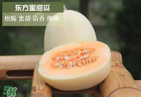 甜瓜可以帶上飛機嗎？坐飛機可以帶香瓜嗎？