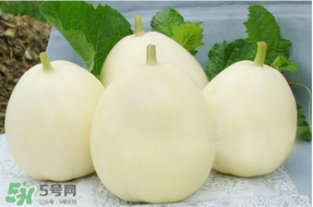 甜瓜可以帶上飛機嗎？坐飛機可以帶香瓜嗎？