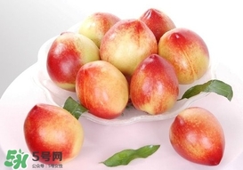 油桃什么時候成熟？油桃什么季節(jié)成熟