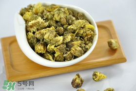立夏喝菊花好嗎？立夏能吃苦菊嗎？
