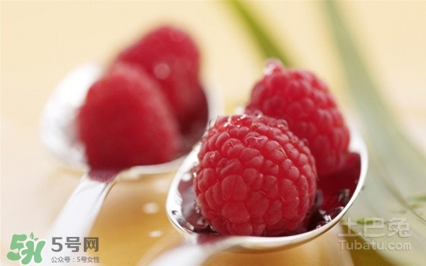 樹(shù)莓多少錢一斤 樹(shù)莓價(jià)格