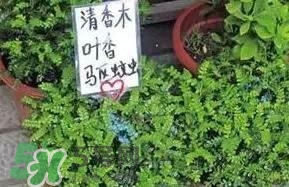 寶寶驅(qū)蚊產(chǎn)品哪個(gè)好？寶寶驅(qū)蚊用什么好？