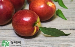 油桃什么時候成熟？油桃什么季節(jié)成熟