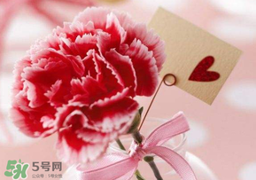 母親節(jié)要送婆婆禮物嗎？母親節(jié)要給婆婆買禮物嗎？