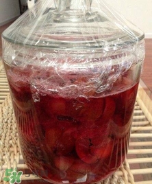 三華李能泡酒嗎？三華李怎么泡