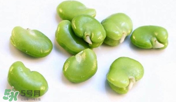 青蠶豆有毒嗎？青蠶豆的功效與作用
