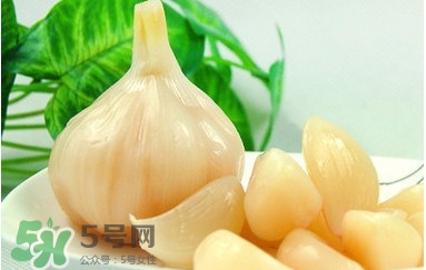 蒜頭泡醋有什么功效？蒜頭泡醋的功效和做法