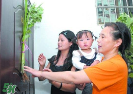 端午節(jié)為什么要掛菖蒲？端午節(jié)掛菖蒲的好處