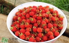 山莓是覆盆子嗎？山莓和覆盆子的區(qū)別
