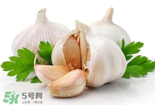 蒜頭能放冰箱嗎？蒜頭能放多久？