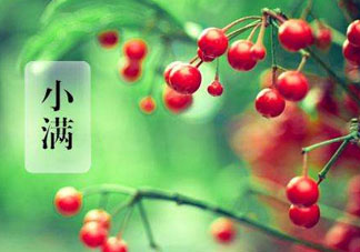 小滿是什么節(jié)氣？小滿是第幾個節(jié)氣？