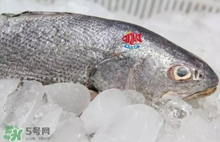 黃唇魚(yú)是黃花魚(yú)嗎？黃唇魚(yú)是黃魚(yú)嗎？