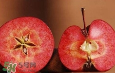 紅心蘋果多少錢一斤？紅肉蘋果價格
