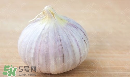 新鮮蒜頭怎么保存？蒜頭怎么保存不發(fā)芽