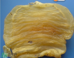 黃唇魚鰾一斤多少錢？黃唇魚鰾的藥用價值