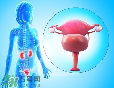 人造子宮能生孩子嗎？人造子宮初現(xiàn)曙光