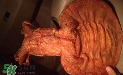 黃唇魚魚鰾是什么？魚鰾是魚的哪個部位