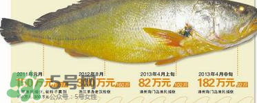 孕婦能吃金錢鱉嗎？懷孕期間能不能吃金錢鱉？