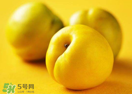 油桃和芒果可以一起吃嗎？芒果和油桃能一起吃嗎？