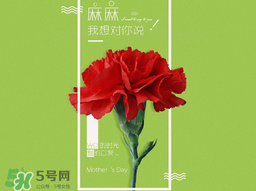 2017年母親節(jié)會打折嗎？2017年母親節(jié)有什么優(yōu)惠活動？