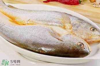 黃花魚(yú)多少錢(qián)一斤？野生黃花魚(yú)多少錢(qián)一斤