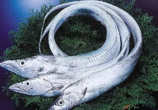 三文魚多少錢一斤2017？新鮮三文魚多少錢一條2017？