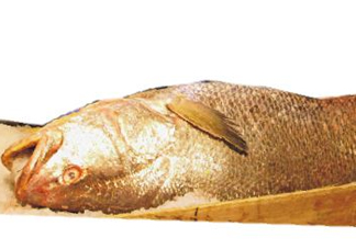 黃唇魚是不是黃花魚？黃唇魚和黃花魚的區(qū)別