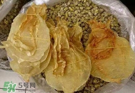 金錢鳘值多少錢？金錢鳘魚膠功效