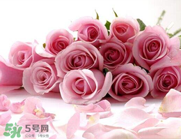 母親節(jié)送什么禮物給老婆？2017年母親節(jié)送老婆禮物推薦