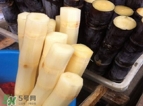 五月份還有甘蔗嗎？5月份還有甘蔗嗎？