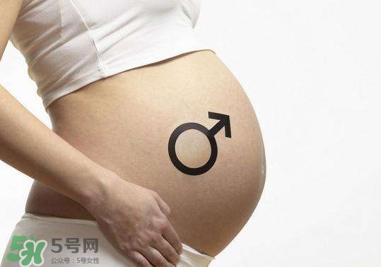 怎么問醫(yī)生胎兒性別？醫(yī)生會(huì)告訴胎兒性別嗎？