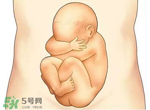 胎兒在媽媽肚子里都會(huì)干啥？胎兒的神奇世界
